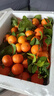 京鲜生 正宗广西砂糖桔4.5斤装 单果35mm+ 花皮 水果年货 源头直发包邮 实拍图