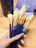 尔木萄（AMORTALS）星动化妆刷12支(眼影刷 散粉刷 腮红刷 ) 便携美妆工具节日礼物 实拍图