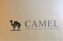 骆驼（CAMEL）登山鞋男防滑户外徒步运动休闲鞋男新款透气男士复古鞋子会员 G13A370005 沙色（网面款） 41 实拍图