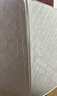 锦汐 椰棕床垫可折叠榻榻米床垫席梦思棕榈床垫棕垫硬薄宿舍家用垫子 3E椰棕总厚约5cm-白色-折叠款 1.5米*2米 实拍图