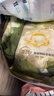 babycare金山茶花婴儿纸尿裤试用装L码3片(9-14kg)尿不湿透气【新老混发】 实拍图