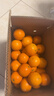 果果牛湖南麻阳冰糖橙 应当季新鲜水果手剥甜橙子高山夏脐血多汁 可选 净重9斤(单果60mm以下)实惠 实拍图