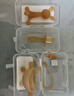 马博士婴儿牙胶安抚磨牙胶棒宝宝防吃手神器纳米银蘑菇+小兔子牙胶 实拍图