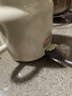 JIEXG养生壶 热牛奶杯 养生杯 煮茶花茶银耳静音 热牛奶神器烧水壶办公室烧水杯 热奶杯 0.8L 【升级容量】多功能炖煮 实拍图
