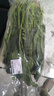 大菠菜300g 实拍图