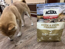 愛肯拿（ACANA）狗粮清火鸭肉梨成犬幼犬低敏去泪痕通用原装进口粮2kg效期26/12 实拍图