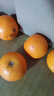 果果牛湖南麻阳冰糖橙 应当季新鲜水果手剥甜橙子高山夏脐血多汁 可选 净重9斤(单果60mm以下)实惠 实拍图