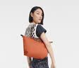 珑骧（LONGCHAMP）Le Pliage Original系列女包大号长柄手提饺子包 橙色 礼物 实拍图