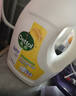 滴露（Dettol）衣物除菌液柠檬3L*3瓶杀菌除螨内衣衣物消毒液可配洗衣液儿童可用 实拍图