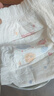 好奇（Huggies）金装纸尿裤M162片(6-11kg)尿不湿【速干不易红】 实拍图