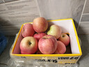 京鲜生山东烟台红富士苹果 5斤装单果75-80mm生鲜水果 源头直发 包邮 实拍图