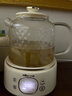 小熊（Bear）全玻璃养生壶 纯玻璃多功能恒温壶 办公室轻音炖煮花茶 1L YSH-J10D1 实拍图