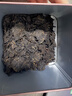 大益TAETEA茶叶普洱茶熟茶 7572饼茶盒装150g/饼 经典标杆口粮茶自饮 实拍图
