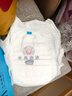 名典泰迪一体拉拉裤XXL码50片【15-17kg】婴儿尿不湿超薄干爽尿裤男女通用 实拍图