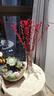 九月生银柳20支新年装饰年宵花卉鲜切枝真花摆件干花春节乔迁礼物60cm 实拍图