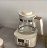 小白熊全玻璃恒温水壶调奶器婴儿电热水壶烧水壶冲奶1.2L 5025随机发货 实拍图