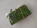 柯必达青苔藓鲜活苔藓微景观植物盆景盆栽水陆缸假山草造景材料白 大灰藓(15*8)cm 2盒 实拍图