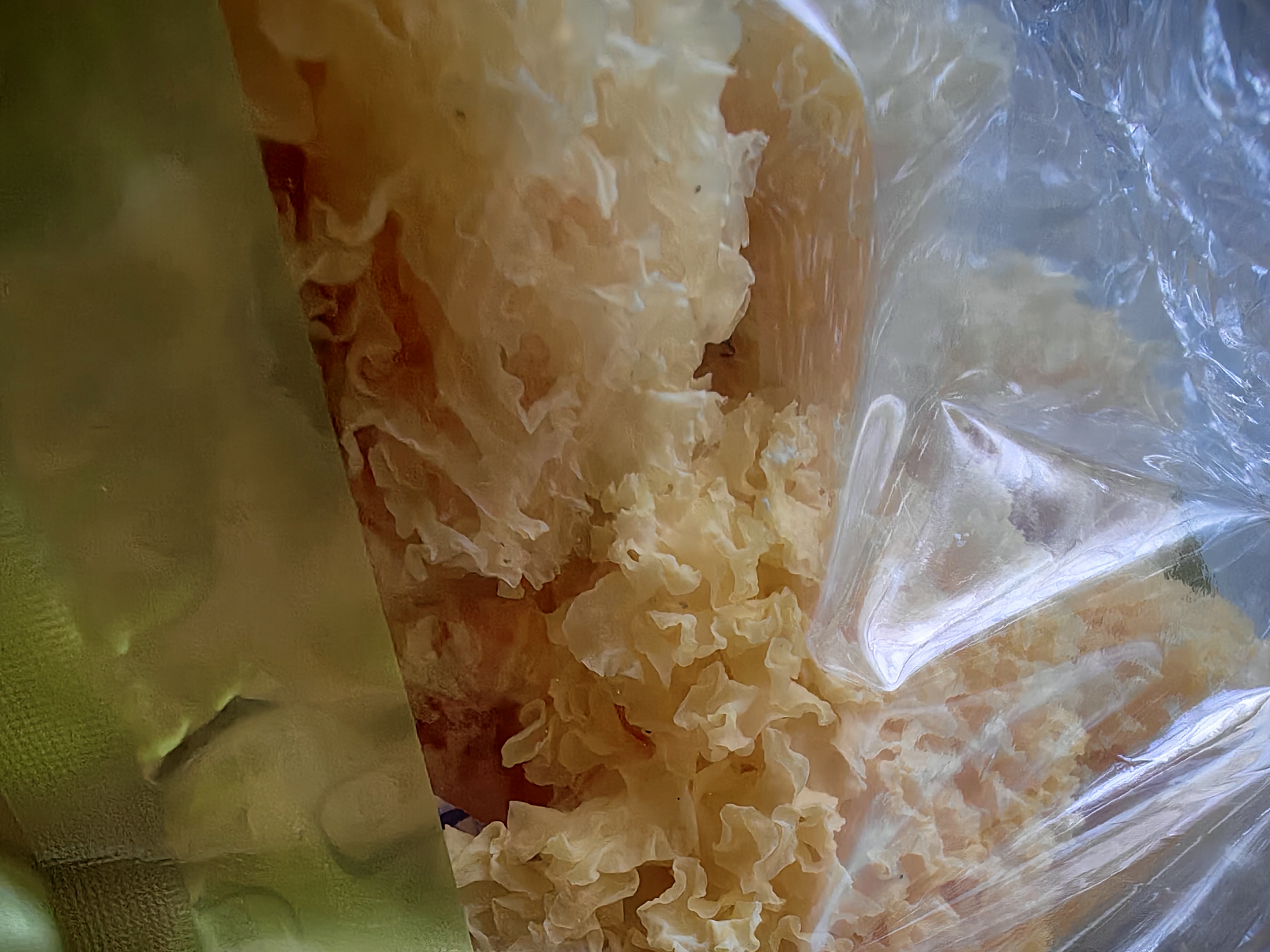 胡庆余堂银耳100g 锁鲜干银耳白木耳雪耳银耳羹银耳莲子汤道地选材 实拍图