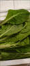 山东农家种植新鲜奶油小白菜时令蔬菜绿叶菜涮菜清脆巨嫩好吃 【泡沫箱发货-到手鲜】小白菜（2斤） 实拍图