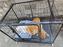 腆宠狗笼 狗笼子大型犬中型犬小型犬带厕所加粗狗窝家用宠物笼子围栏 实拍图