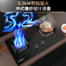 康佳（KONKA）燃气灶煤气灶双灶具 5.2kW内外铜火盖铝炉头台式嵌入式 防爆面板JZY-B500F(DH36)（液化气） 实拍图