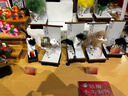 森森鱼缸水族箱加热棒自动恒温防爆缸加温棒小型鱼缸加热器 50W石英更省电带保护套（16.5cm长）带数显+ 实拍图