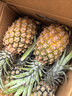 京觅海南金钻凤梨净重7.5斤装 单果1000g起 大果更好吃 源头直发包邮 实拍图