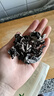 十月稻田 东北黑木耳 500g 干木耳 黑龙江东宁特产 肉厚无根 火锅煲汤炒菜 实拍图