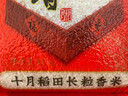 十月稻田 2025年新米 长粒香大米 10斤（东北大米 香米 5公斤/十斤） 实拍图