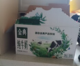 伊利金典3.8g乳蛋白 鲜活纯牛奶250ml*8瓶 30天常温短保 年货礼盒装 实拍图