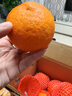 京鲜生 四川爱媛38号果冻橙 净重5斤 单果150g起 生鲜柑橘桔子水果礼盒 实拍图