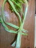 马家沟芹菜空心芹菜凉拌超市新鲜芹菜清脆爽口水果芹菜 马家沟空心芹菜2斤装1.8斤净重 实拍图
