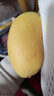 京鲜生 海南金煌芒果 2斤装 单果约300g 约2-3个 生鲜水果 实拍图