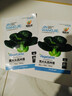 【京东物流】蔬菜种子四季播盆栽阳台庭院香菜生菜菠菜简单秋易种 黑叶苏州青种子2包约2000粒 实拍图