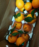 泰汇吃四川春见耙耙柑新鲜水果整箱孕妇橘子时令柑橘 净重4.5斤精选单果140g++ 实拍图
