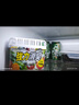巨奇严选 冰箱除味剂除臭消毒杀菌冷藏室去异味除腐肉臭神器150g*3盒 实拍图