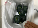 京鲜生 云南高山贝贝南瓜 净5斤(粉糯瓜) 中果300g+ 粉糯辅 源头直发 实拍图