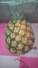 正宗海南金钻凤梨新鲜水果当季树上熟芒果凤梨【催熟食用】 1粒装单果500g-650g【7成熟，催熟再吃】 实拍图