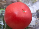番茄约500g 实拍图