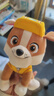 汪汪队立大功（PAW PATROL）毛绒玩具狗狗陪睡玩偶经典款小砾小号坐姿可爱公仔男女孩生日礼物 实拍图