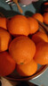 京鲜生 四川爱媛38号果冻橙 净重5斤 单果180g起 生鲜水果柑橘年货礼盒 实拍图