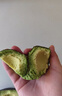 京鲜生 智利即食牛油果大果4粒装 单果130g起 源头直发 包邮 生鲜水果 实拍图