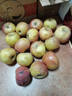 山东高山冰糖心红富士苹果果园现摘新鲜水果酸甜可口丑苹果 【带箱9斤】净重8斤大果80mm+ 实拍图