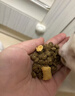 LEGENDSANDY蓝氏全价猫粮成猫幼猫生骨肉冻干粮 猎鸟乳鸽1.5kg 实拍图