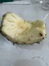 正宗海南金钻凤梨新鲜水果当季树上熟芒果凤梨【催熟食用】 净重7.5斤中果（5-6个）单果1.3-1.7斤 实拍图