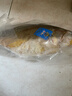 三都港洄游季带籽黄花鱼1.1kg/条大黄鱼海鲜鱼类春节也送货 实拍图