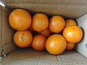 京喜加【25年鲜橙】云南冰糖橙新鲜采摘秋橙当季新鲜水果 带箱5斤55-60mm 实拍图