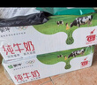 蒙牛全脂纯牛奶250ml*24盒 年货礼盒 电商定制 实拍图