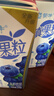 蒙牛真果粒蓝莓味牛奶饮品250g*12盒 小黄鸭IP 礼盒新老包装 含乳饮料 实拍图