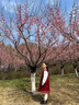 芭比童装女童拜年服女童马年新年衣服加绒红色裙子女童连衣裙BY007 实拍图